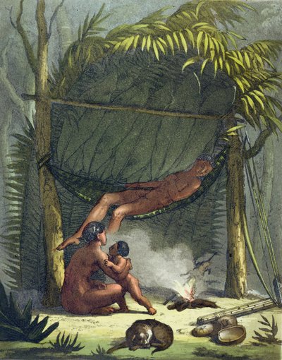 Ansicht einer Puri-Hütte in Brasilien, ca. 1820 von Gallo Gallina